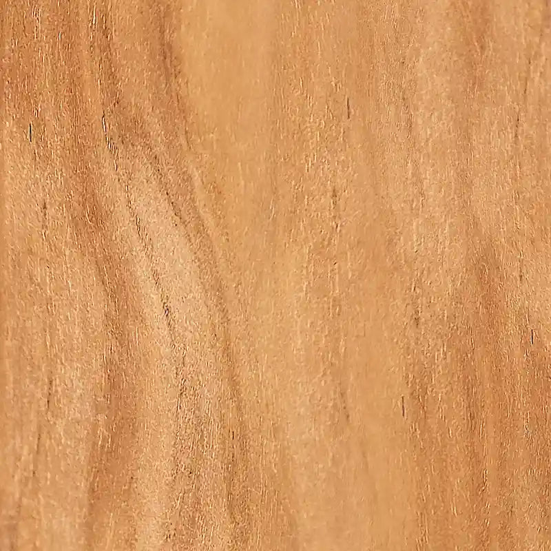 Sedia Adirondack da Esterni Cambridge Casual Auburn in Teak con Rivestimento