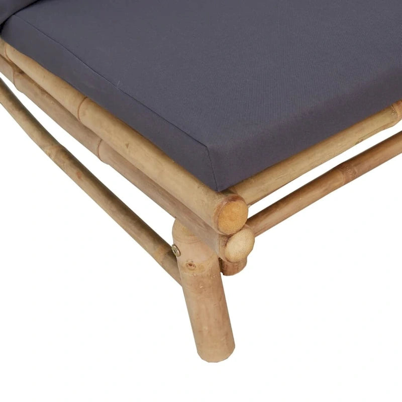 vidaXL Set Lounge da Esterno 3/4/5 Pezzi con Cuscini Grigio Scuro Bambù - 39,4 x 21,7 x 13