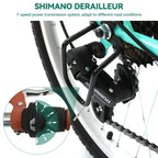 Moasis24/26 Bicicletta Cruiser a 7 velocità Regolabile con Telaio Ribassato, per Pendolari