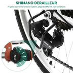 Moasis24/26 Bicicletta Cruiser a 7 velocità Regolabile con Telaio Ribassato, per Pendolari