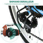 Moasis24/26 Bicicletta Cruiser a 7 velocità Regolabile con Telaio Ribassato, per Pendolari